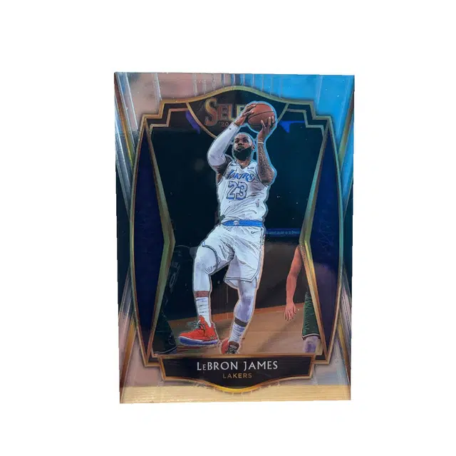 PANINI 2020-21 SELECT