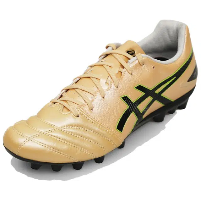 Asics DS LIGHT PRO AG