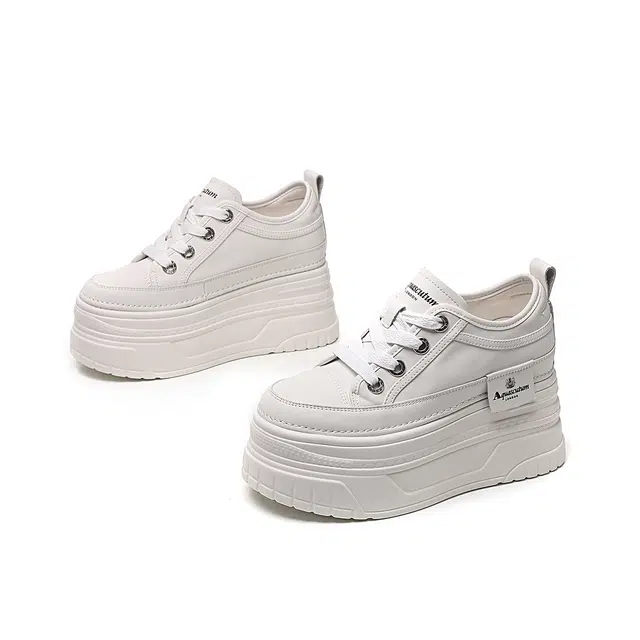 AQUASCUTUM