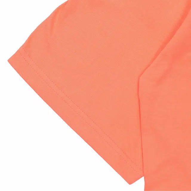 Supreme SS19 Buju Banton Tee T