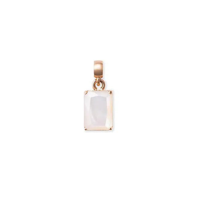 Daniel Wellington CHARMS