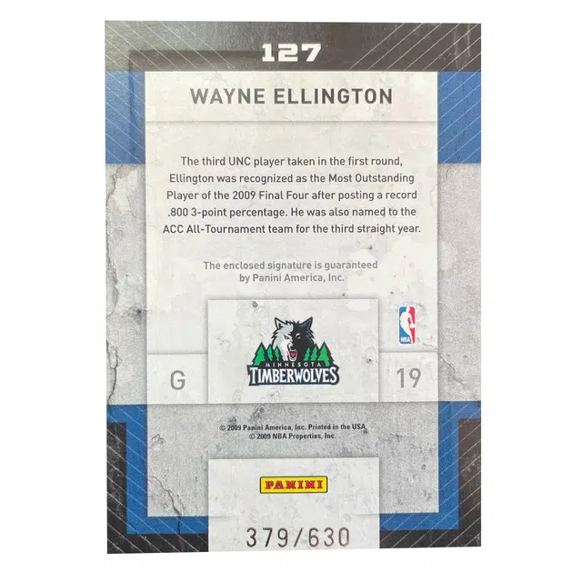 PANINI 2009 379630 RPA E