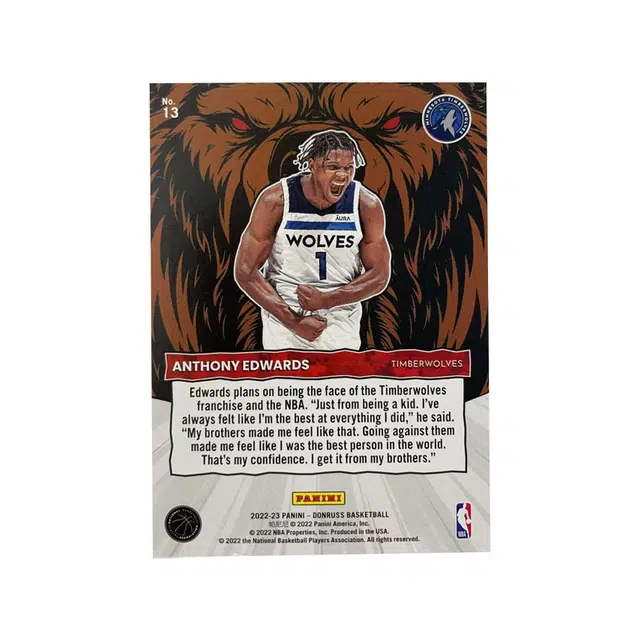 PANINI 2022-23