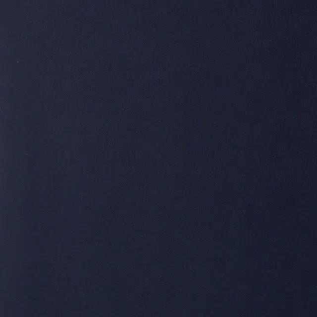 Burberry Polo