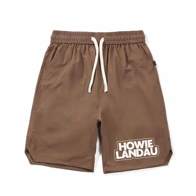 HOWIE LANDAU Logo