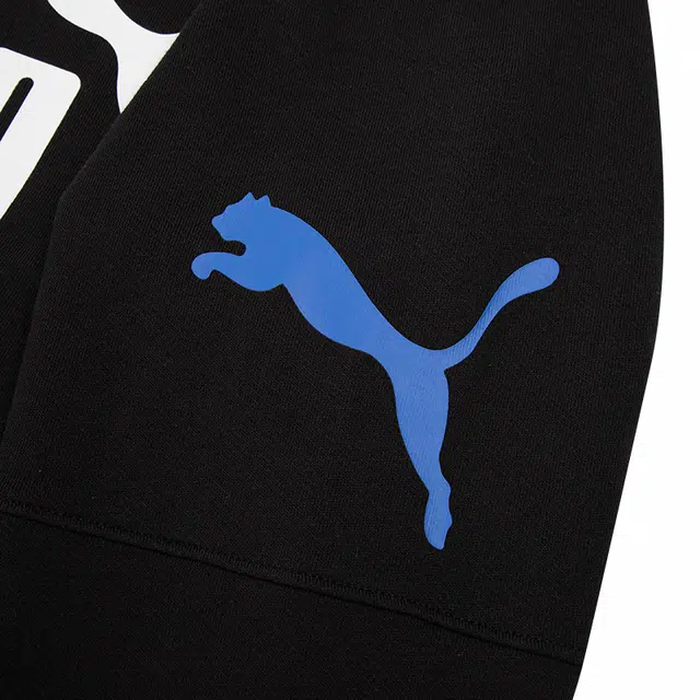 PUMA Power Colorblock Hoodie Tr Logo
