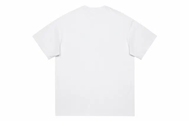 PISYPOX T
