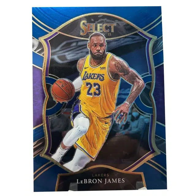 PANINI 2020-21 SELECT