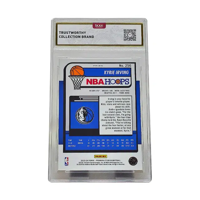 PANINI HOOPS