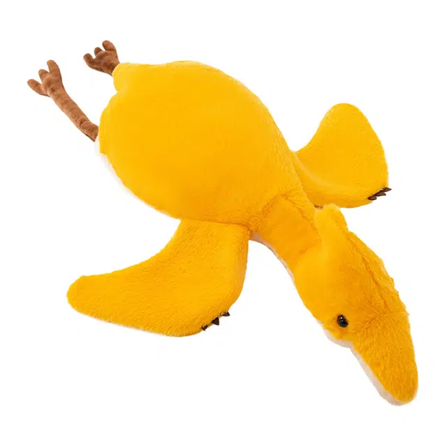55cm60cm