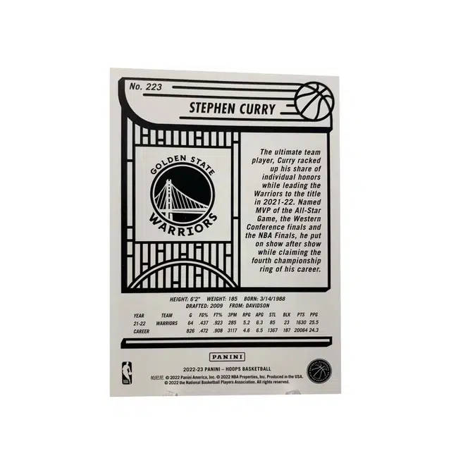PANINI 2022-23 HOOPS