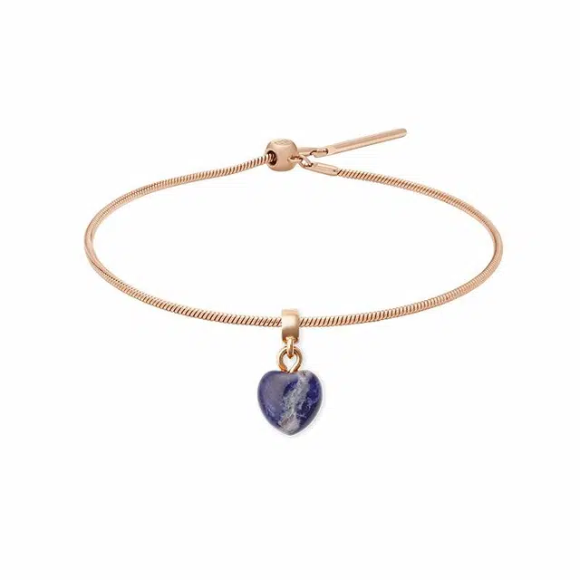 Daniel Wellington CHARMS