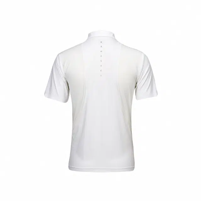 Kawasaki Polo