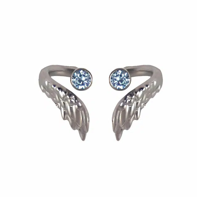 前方大荒野 天使之翼灵动翅膀清冷感简约时尚小众设计轻奢高级感日常百搭精致独特时髦个性 锆石 耳钉 男女同款情侣款
