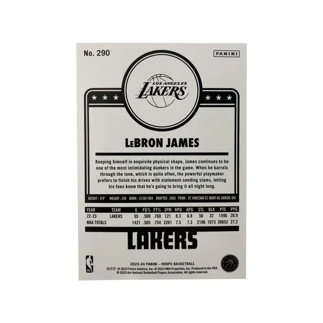 PANINI 2023-24 HOOPS