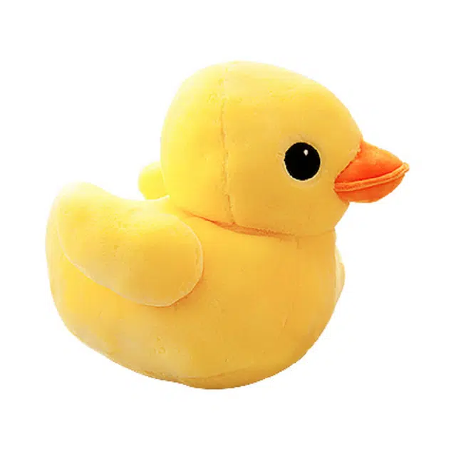 AZLCL 10cm20cm30cm50cm70cm80cm100cm