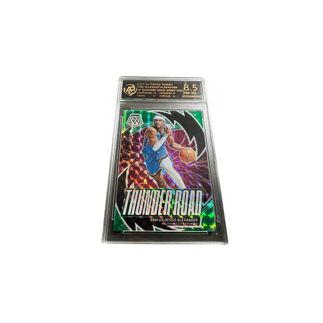 PANINI SGA RPA