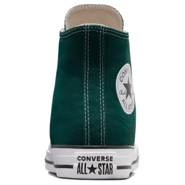 Converse Chuck Taylor Hi DRAGON SCALE