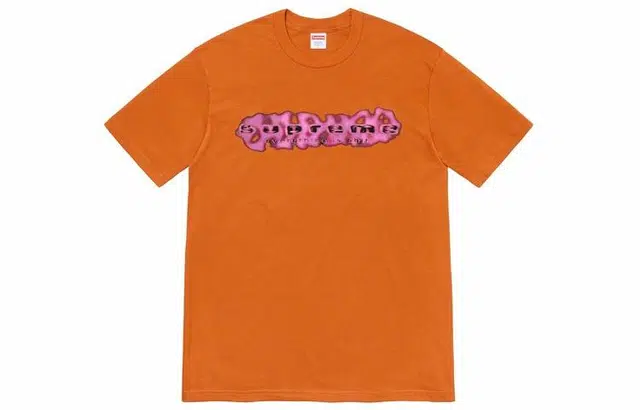 Supreme SS20 Week 8 Everything Is Shit Tee LogoT