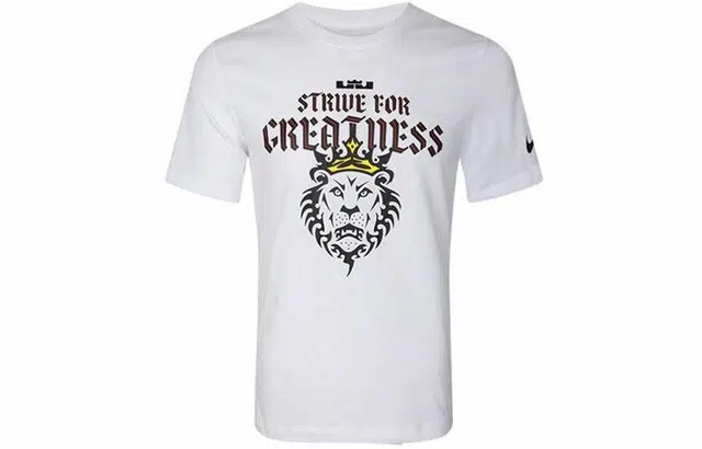 Nike Dri-FIT Lebron Strive For Greatness T