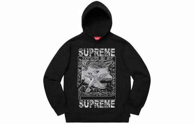 Supreme FW19 Week 2 Doves Hooded Sweatshirt