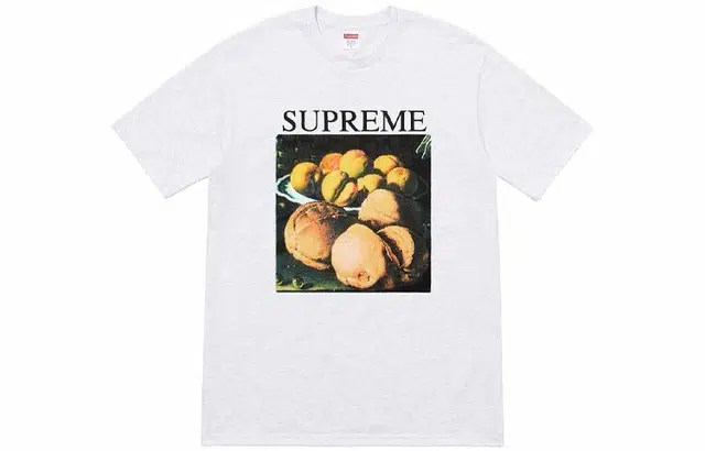 Supreme FW18 Still Life Tee Ash Grey T
