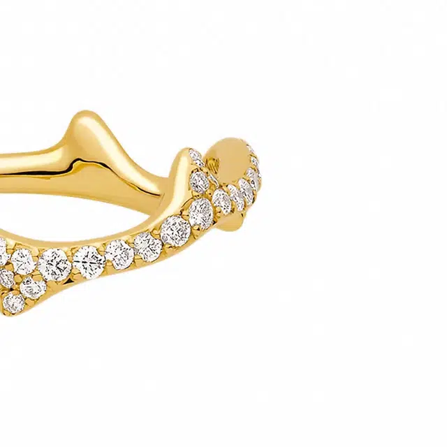 DIOR Bois de Rose 18K