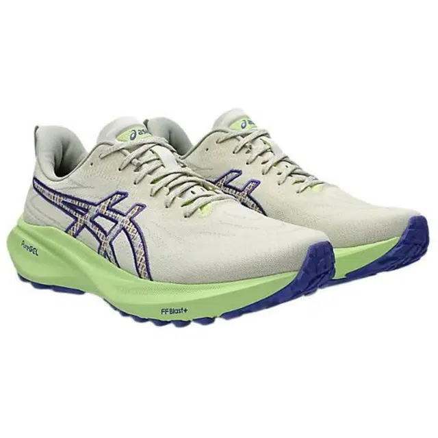 Asics GT-2000 13 TR