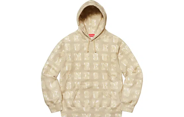 Supreme FW20 Week 1 Blocks Hooded Sweatshirt