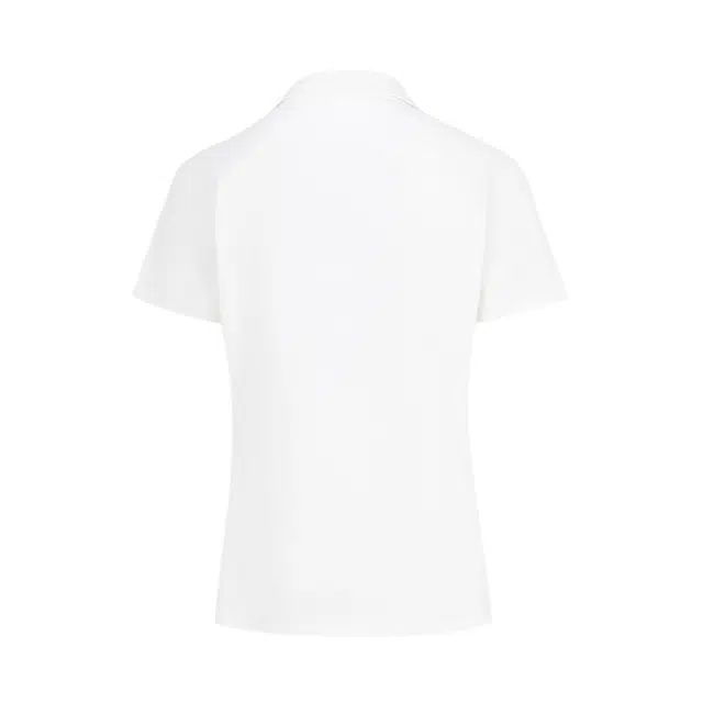 DESCENTE DUALIS Polo
