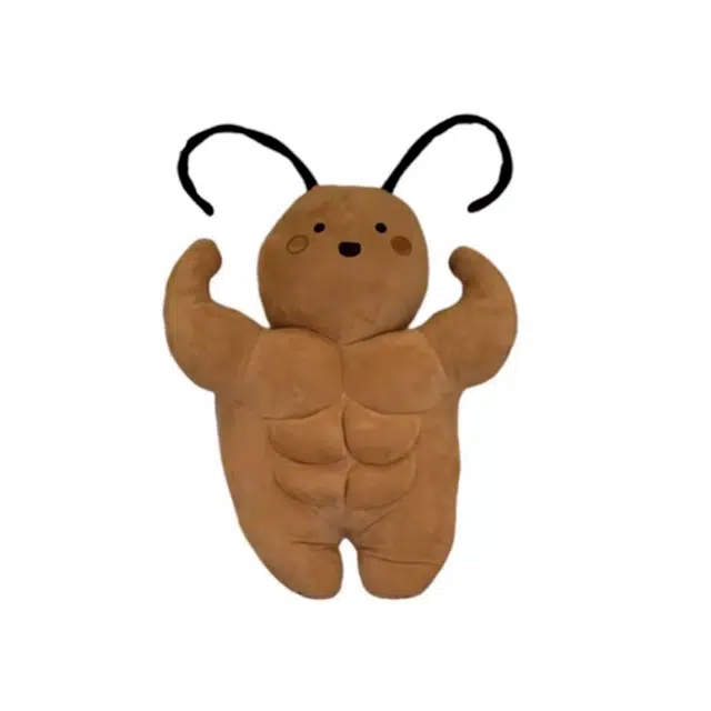 AECELI 35cm50cm