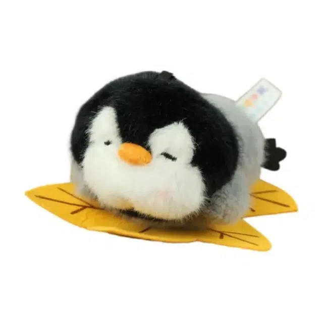 FKOFR 12cm