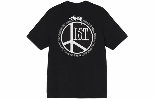 Stussy Peace Dot Pigment Dyed Tee LogoT