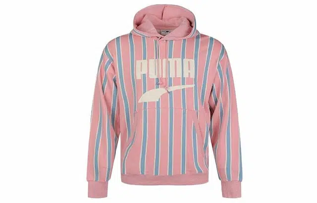 Puma Downtown PO Graphic Hoody