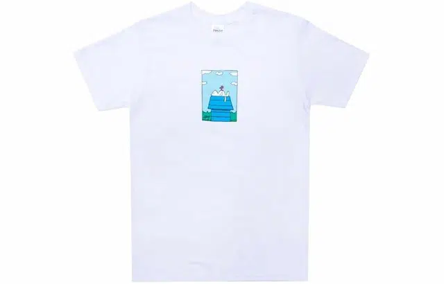 RIPNDIP T