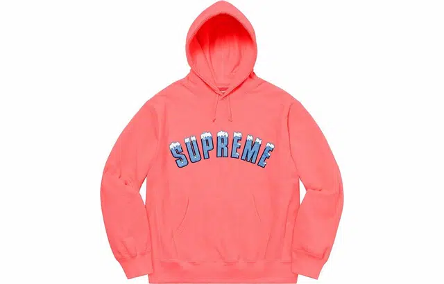 Supreme Icy Arc Hooded Sweatshirt