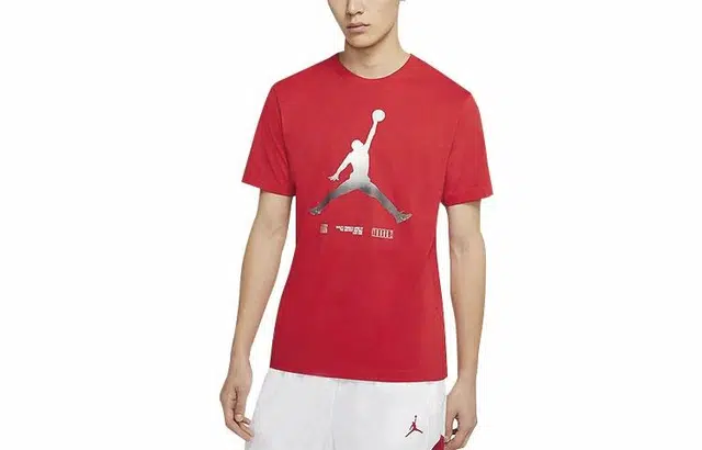 Jordan Legacy AJ11 T