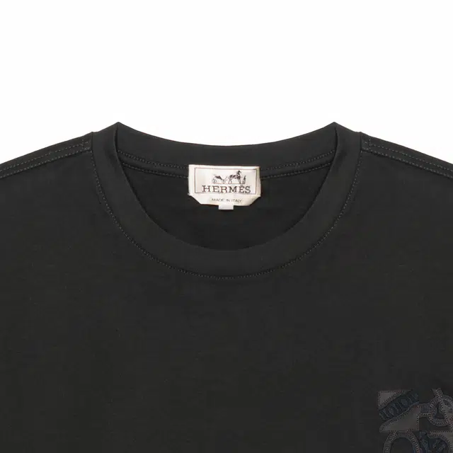 HERMES LogoT