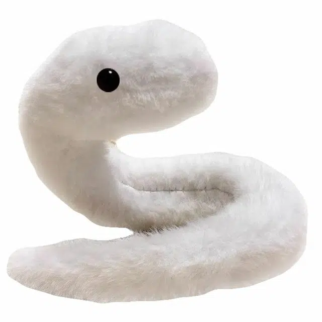 MANMIAO