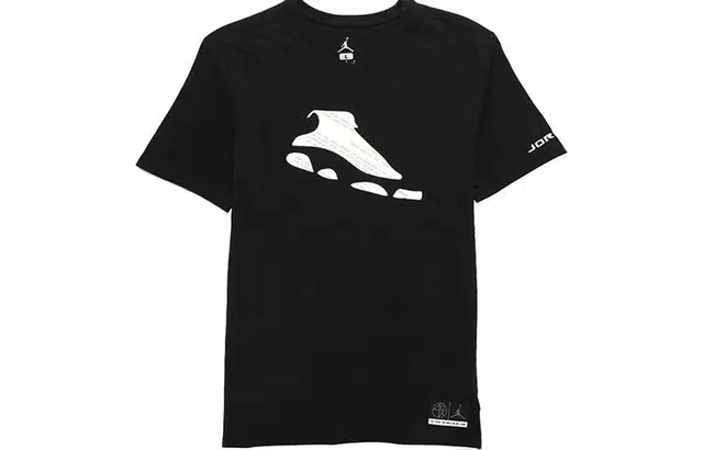 Air Jordan 13 T