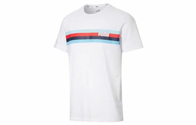 Puma T