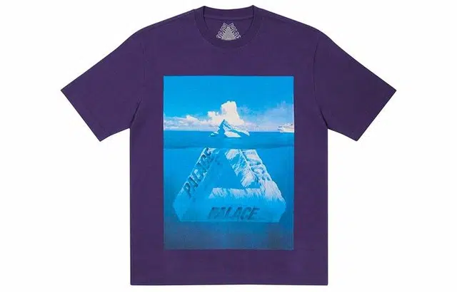 PALACE TBerg-Ferg T-Shirt Purple LogoT