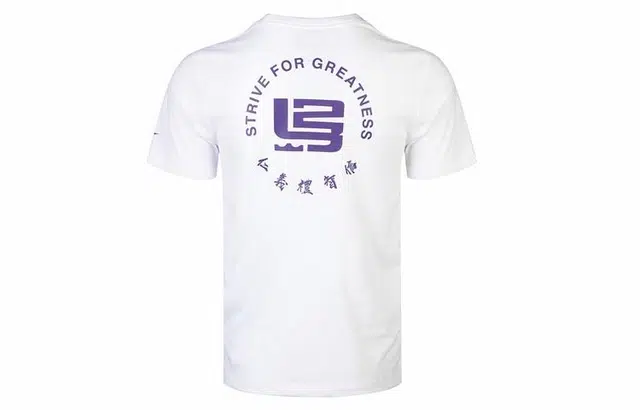 Nike Strive for greatness T