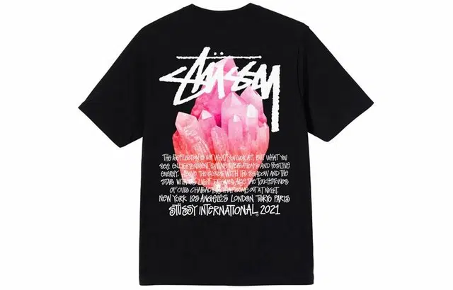 Stussy Reflection Tee LogoT