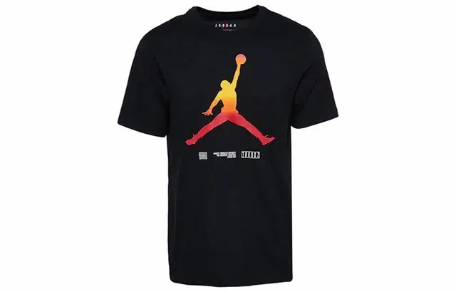 Jordan LEGACY AJ11 T