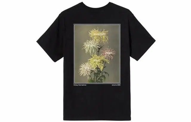 Stussy Dahlia