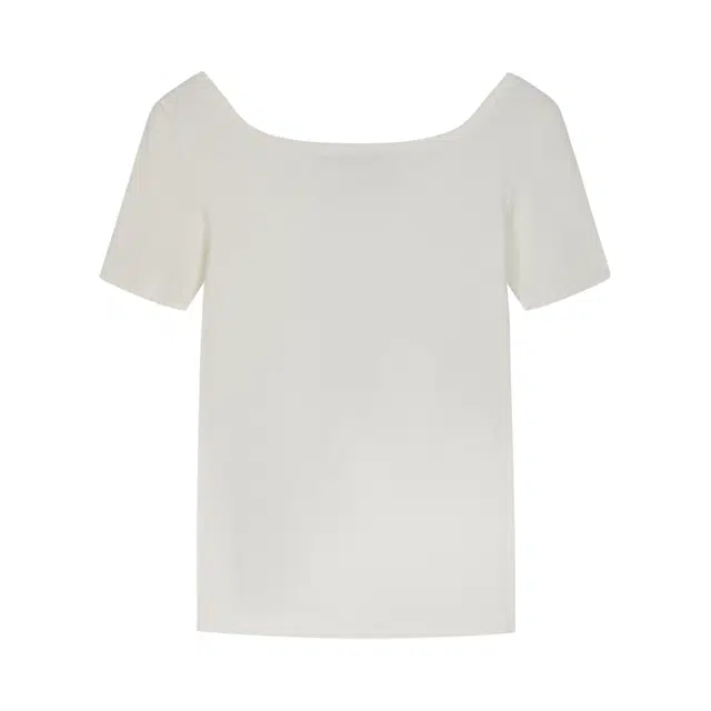 Champion SS25 Mineral Dye T