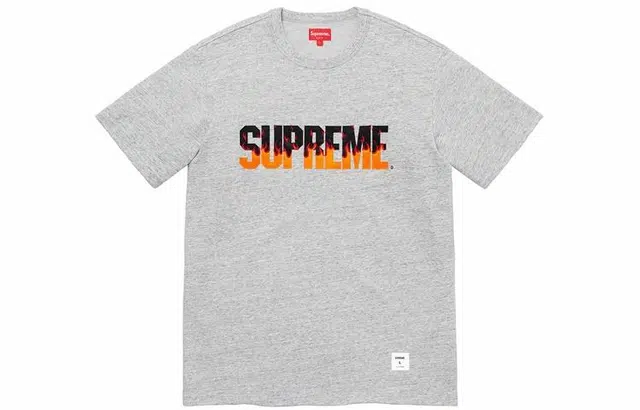 Supreme FW19 Week 1 Flame SS Top LogoT