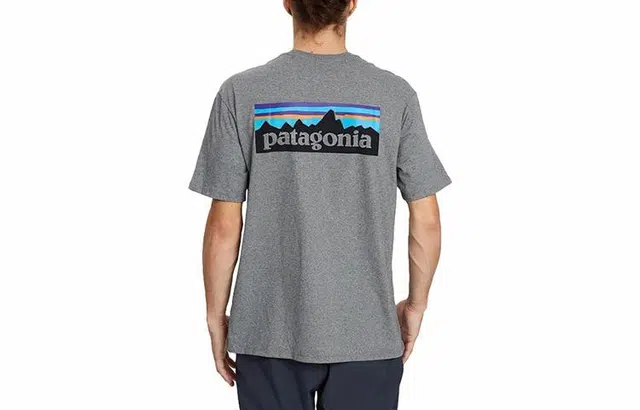 patagonia P-6Logo Responsibili LogoT