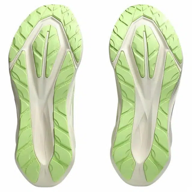 Asics NOVABLAST 5 TR NATURE BATHING